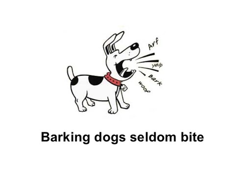 barking dog seldom bite essay